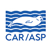 car_asp